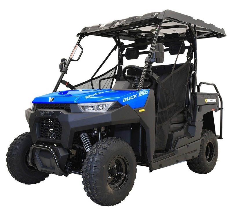 Buck 250X Golf UTV, 177cc EFI Air Cooled, 4 - Stroke, Single Cylinder IN STOCK