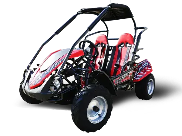 HotSelling Cheap ATV Whole sale outlet bikers Trailmasters Blazers 200R Go Kart Youth Go Kart Mid size Kids and adult cart Body