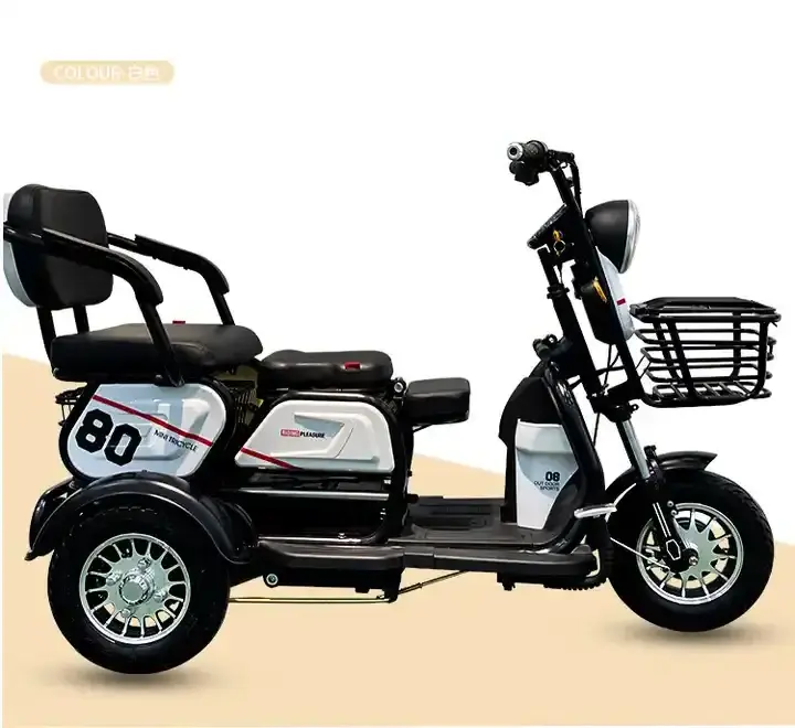 Authentic EU warehouse 3 Wheel Mobility 110cc Scooter Old People Use Motorcycles Electric Mobility Scooter for Adult For Sale