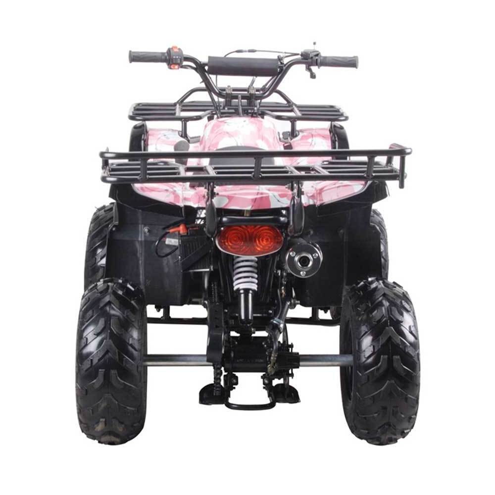 125cc Fully Automatic Mid Sized ATV + Reverse READY FOR SALE