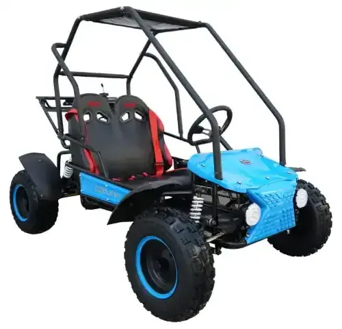 CHEAP WHOLESALES PRICE ON 125CC Fully Automatic Go Kart Automatic with reverse 125cc/4-stroke 1 cylinder