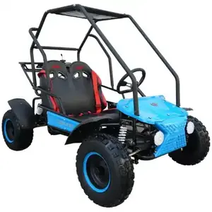 CHEAP WHOLESALES PRICE ON 125CC Fully Automatic Go Kart Automatic with reverse 125cc/4-stroke 1 cylinder