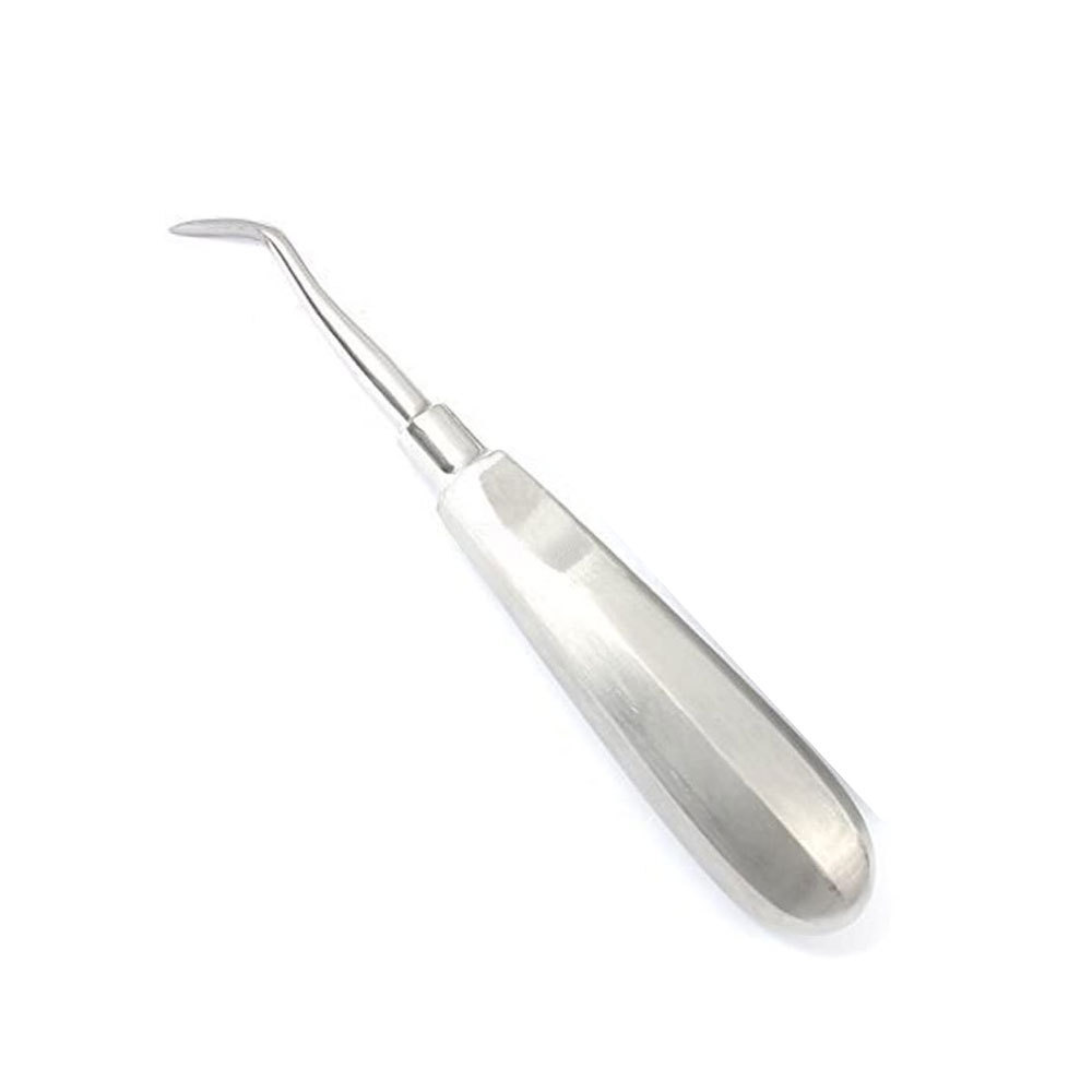 Dental Root Extracting Elevators Surgical Extraction Forceps Stainless Steel Lab Dental Root Elevator Instruments