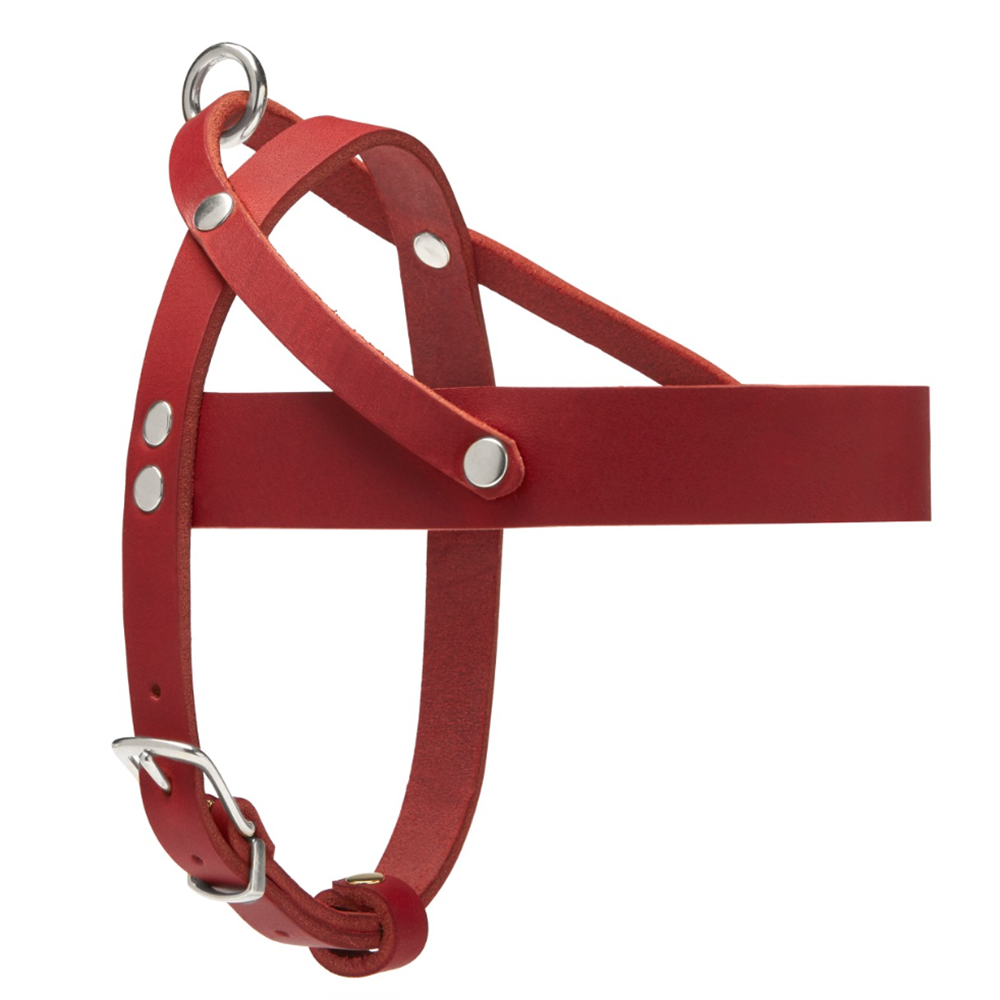 Dog Training Wear Leather Made Dogs Harness Manufacturer High Quality Low MOQ Made In Pakistan Customized Dog Harness