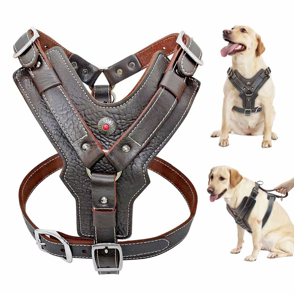 Dog Training Wear Leather Made Dogs Harness Manufacturer High Quality Low MOQ Made In Pakistan Customized Dog Harness