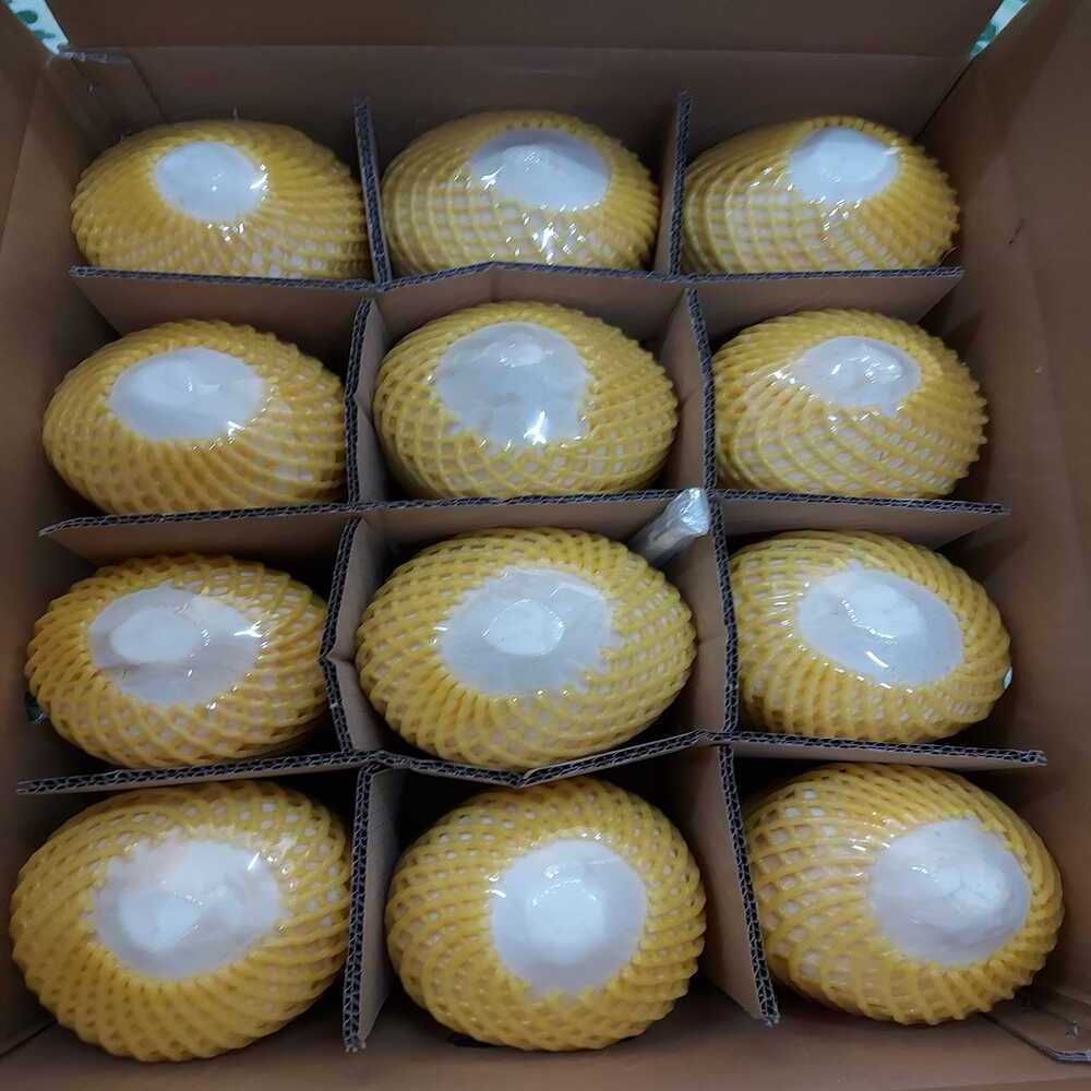 Exporter Frozen Tropical Fruit - Diamond Cut Coconut From Vietnam Supplier Tropical Food - Coconut Diamond Shape