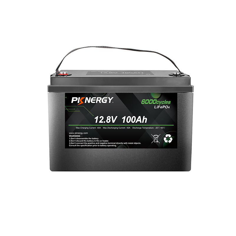 12V 100Ah Lifepo4 Lithium Iron Battery Pack Deep Cycle Times battery lifepo4 12V RV camping car motorhome Caravan battery