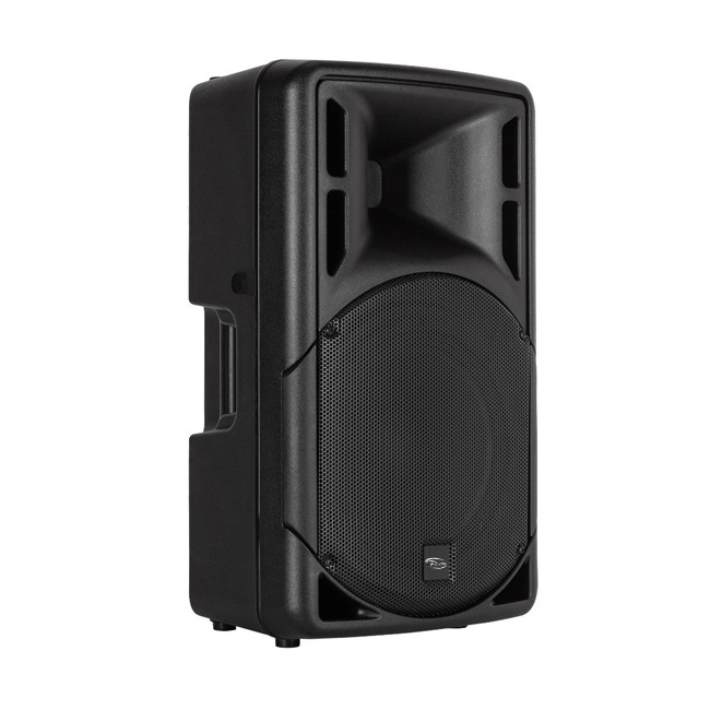 Professional audio video speaker empty cabinets 12 15 inch church PLASTIC speaker PA sound system speaker box sound box