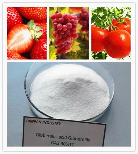 Super Plant Growth Regulator Fertilizer Gibberellic Acid GA3 90%TC