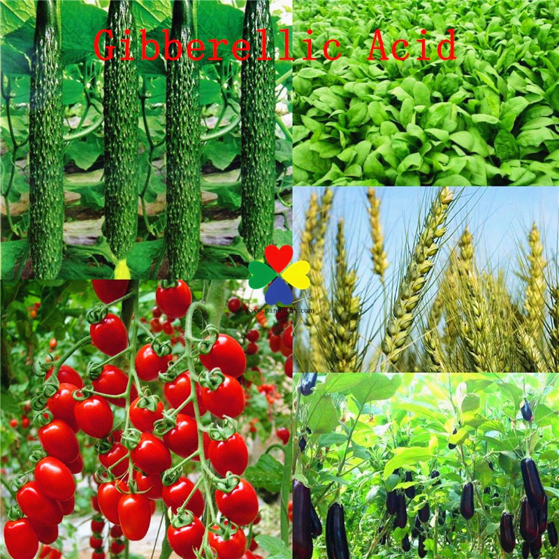 Super Plant Growth Regulator Fertilizer Gibberellic Acid GA3 90%TC