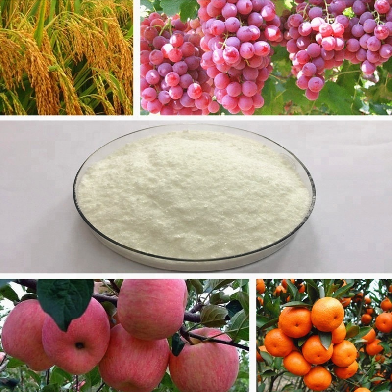 Plant Growth Regulator 6-Benzylaminopurine 6BA 99%TC Cytokinin Fertilizer