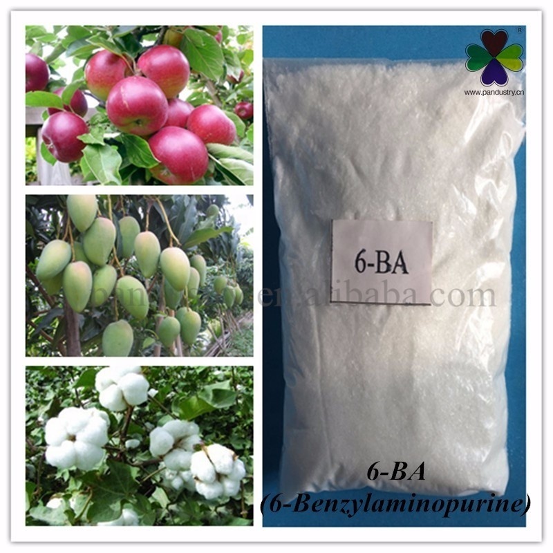 Plant Growth Regulator 6-Benzylaminopurine 6BA 99%TC Cytokinin Fertilizer