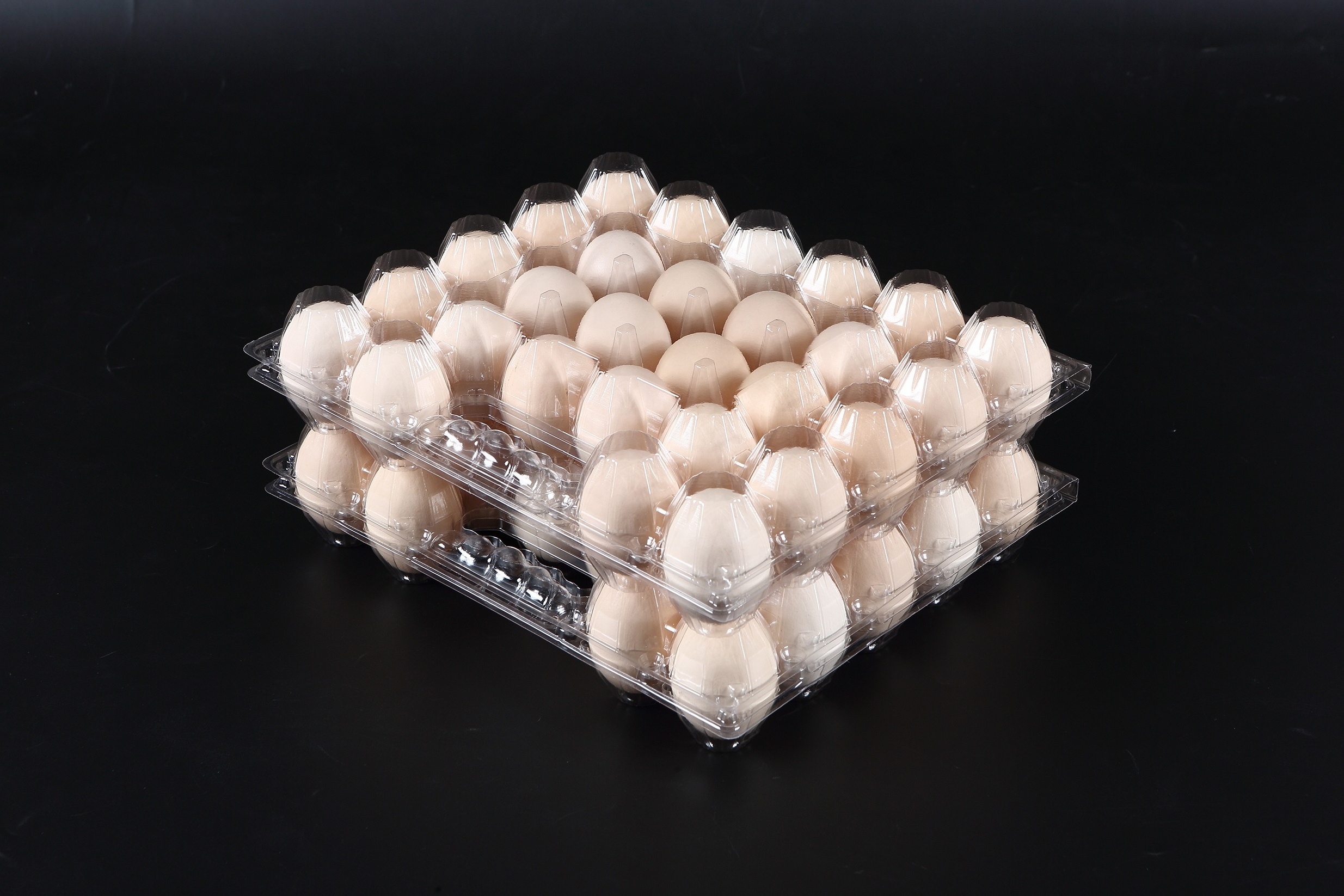 Plastic Chicken Eggs Quail Eggs Tray Carton Customized Tailor-made ODM/OEM LOGO Factory Manufacturer