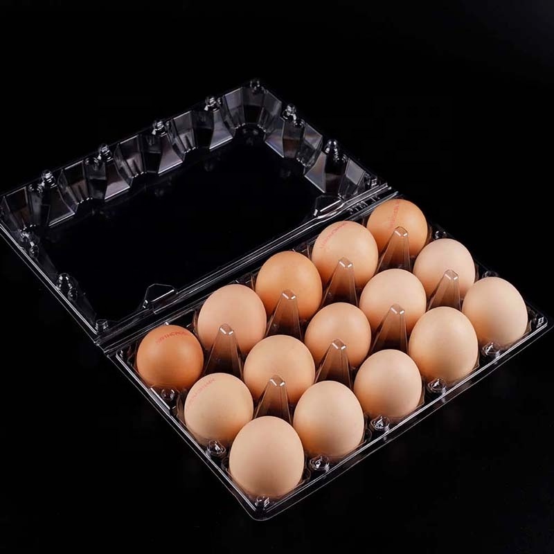 15 Holes Jumbo Large Big Chicken Eggs Duck Eggs Pits Containers OEM & ODM LOGO Accept for Warehouse for Shopping Plaza