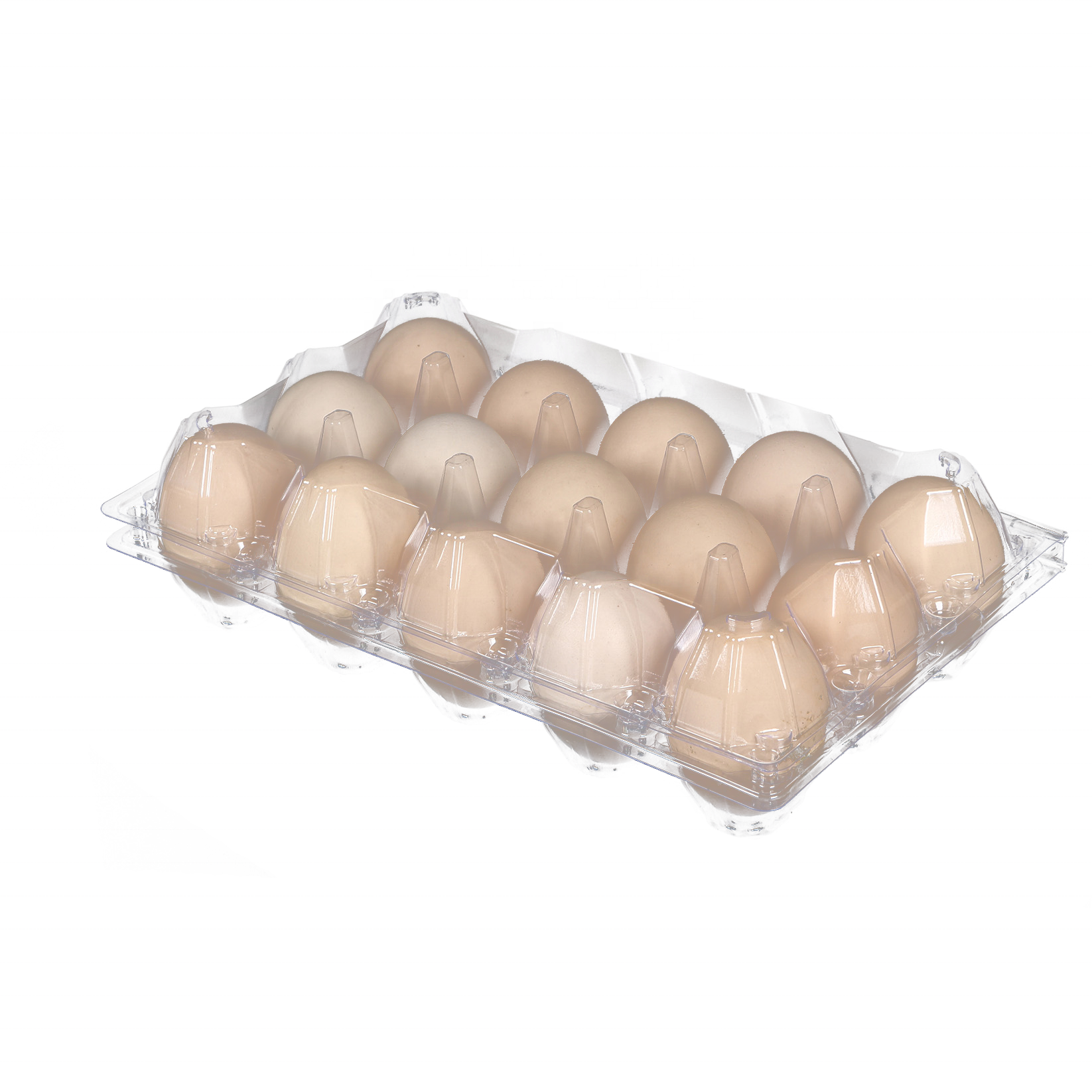 15 Holes Jumbo Large Big Chicken Eggs Duck Eggs Pits Containers OEM & ODM LOGO Accept for Warehouse for Shopping Plaza