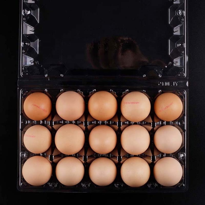 15 Holes Jumbo Large Big Chicken Eggs Duck Eggs Pits Containers OEM & ODM LOGO Accept for Warehouse for Shopping Plaza