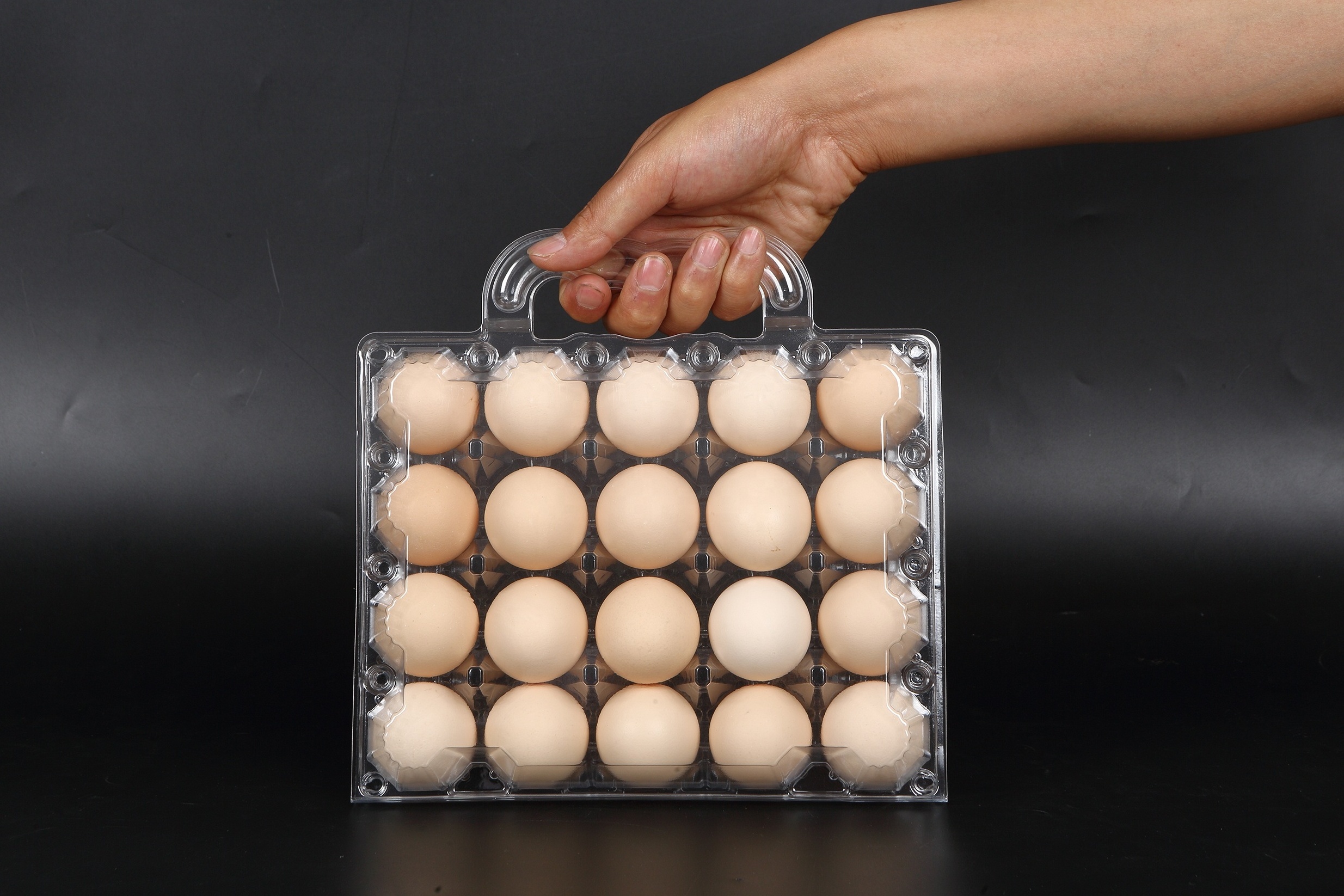 Plastic Chicken Eggs Quail Eggs Tray Carton Customized Tailor-made ODM/OEM LOGO Factory Manufacturer