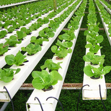 ODM Planting System Plastic square Pipe pvc pipe square shaped colored pvc pipe