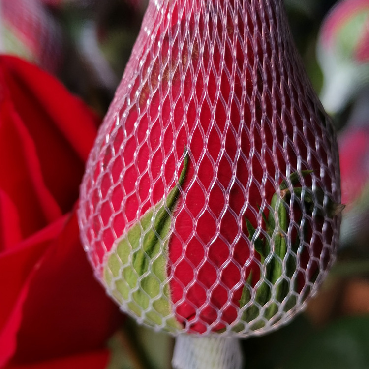 High Quality Eco Friendly Tasteless PE Mesh Rose Flower Bud Protective Net