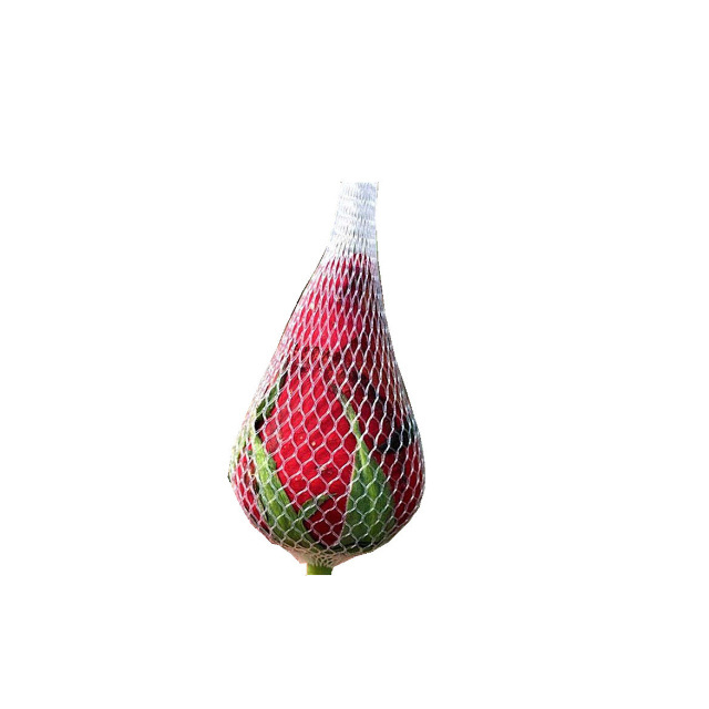 High Quality Eco Friendly Tasteless PE Mesh Rose Flower Bud Protective Net