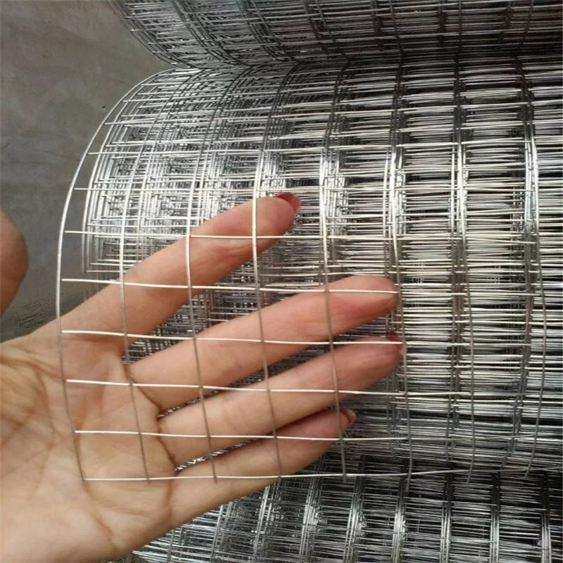 1.6mm high quality wire mesh fence low price galvanized welded wire mesh/stainless steel wire mesh