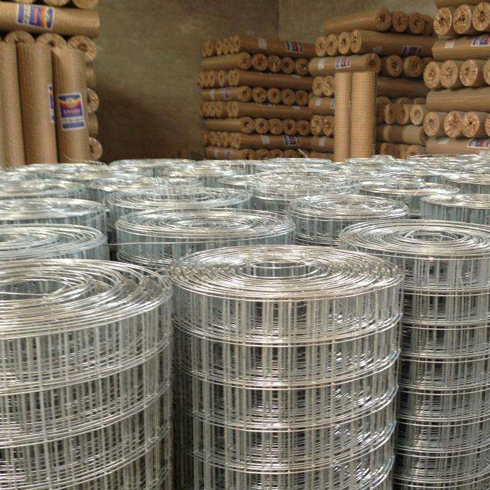 1.6mm high quality wire mesh fence low price galvanized welded wire mesh/stainless steel wire mesh