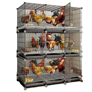 Animal Poultry House Farm Design System Egg Layer Chicken Cage Baby Chicks Best Price China Manufacture