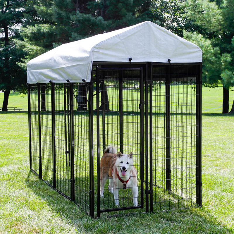 All-Weather Retriever Dog Kennel Panel Steel Construction Comfortable and Safe with Rain and Wind Protection