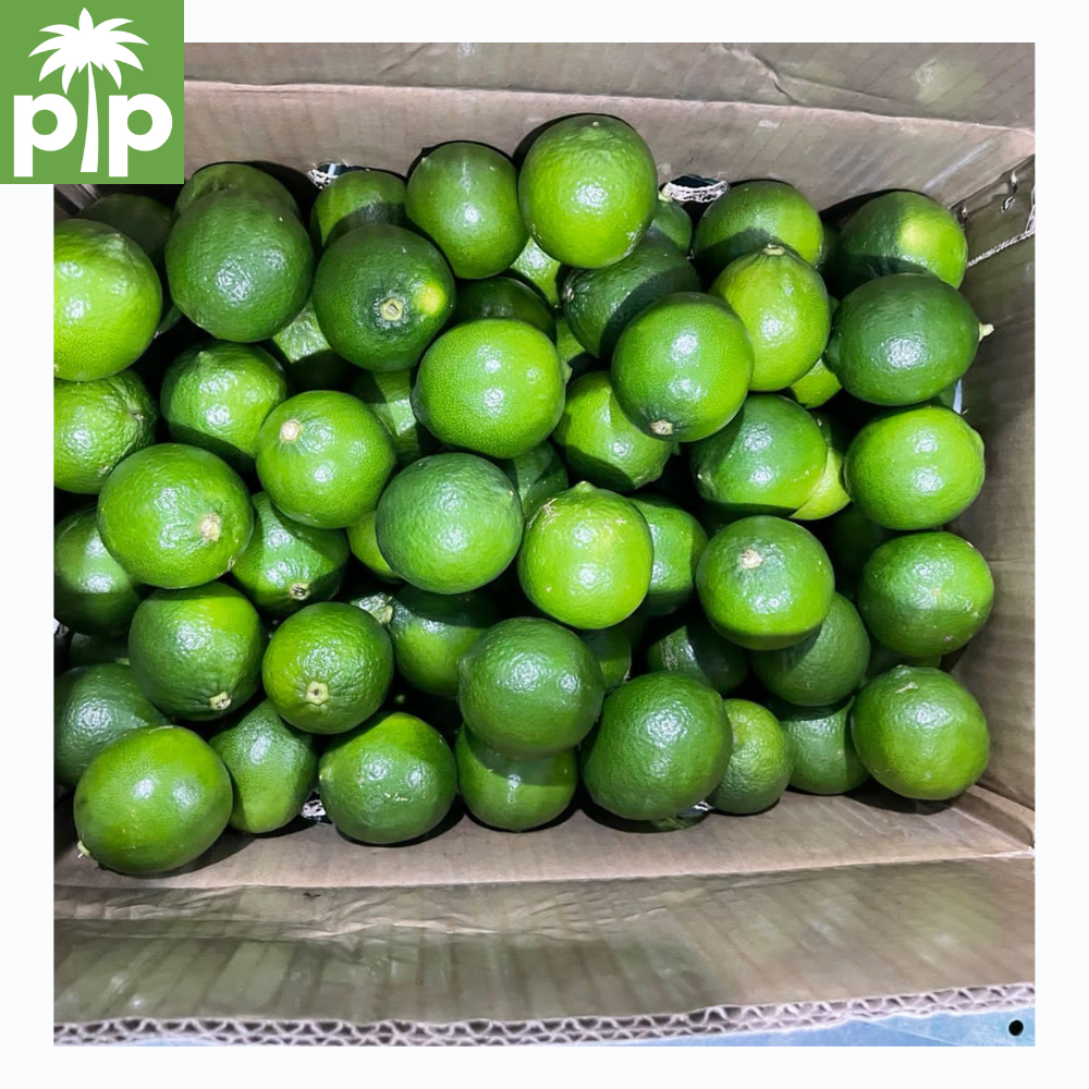 New fresh seedless lemon green lime, good price, 5kg/ctn, 12-18pcs/kg from Ben Luc - VietNam