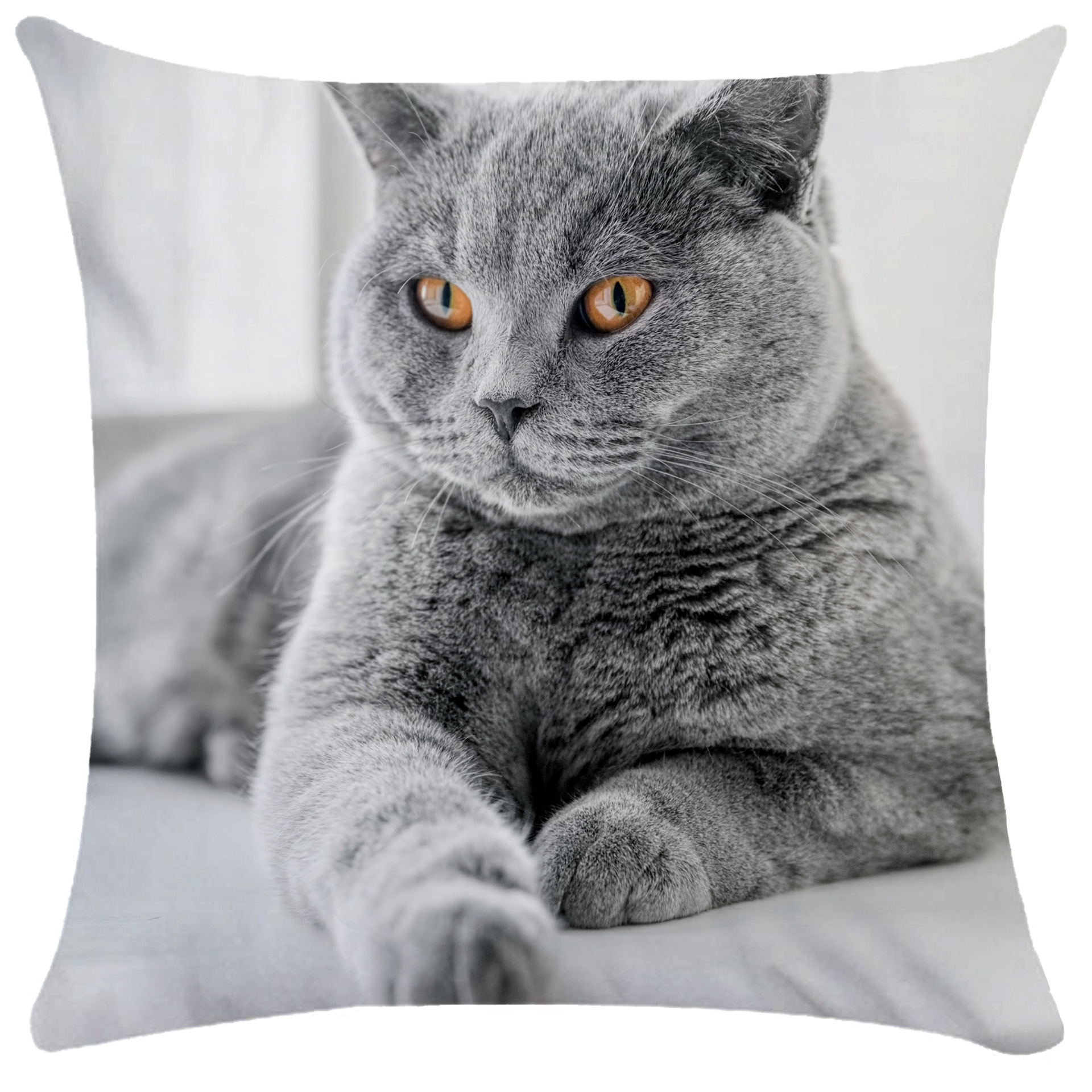 Digital Print Custom Pillow Covers Cushion Covers customized pillowcase Home Decor Cushion Sofa Pillow