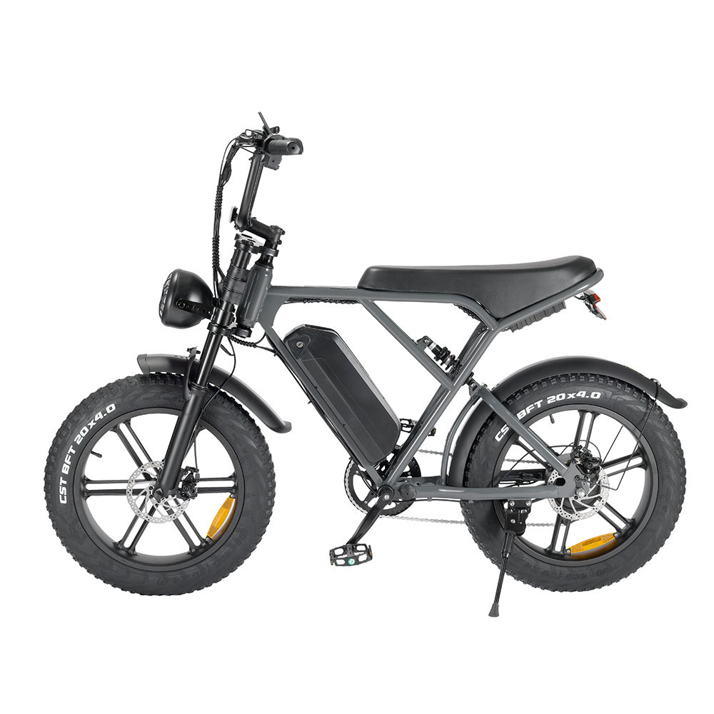 Eu Usa Warehouse pro electric fat Tire Wheel bike 20