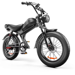 2024 new product electric bike mountain 2 wide seat three person 20 inch 250W 1000W fat tire electric motorcycle bike