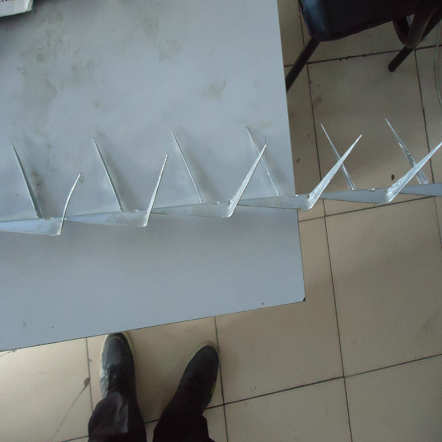 Popular galvanized Anti Climb Cheap Security wall fence spikes/ PVC coated spike for sale