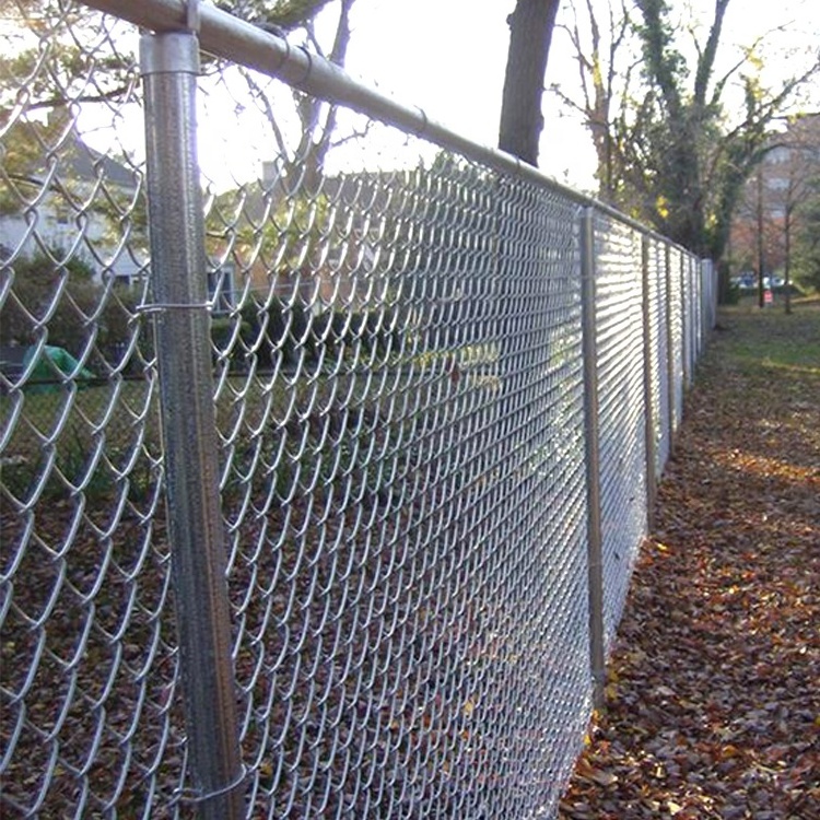 Tree guards galvanized chain link fence and chain link garden wire mesh fence for sale