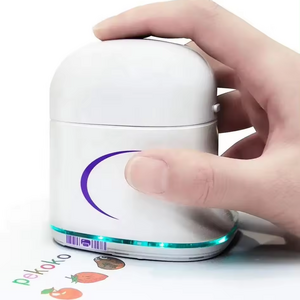 Compact And Portable Eco Solvent Printer For On-The-Go Printing