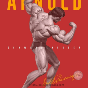 Arnold Schwarzenegger Bodybuilding Muscle Canvas Prints Fitness Motivation Poster Wall Art Painting For Gym Bedroom Home Decor