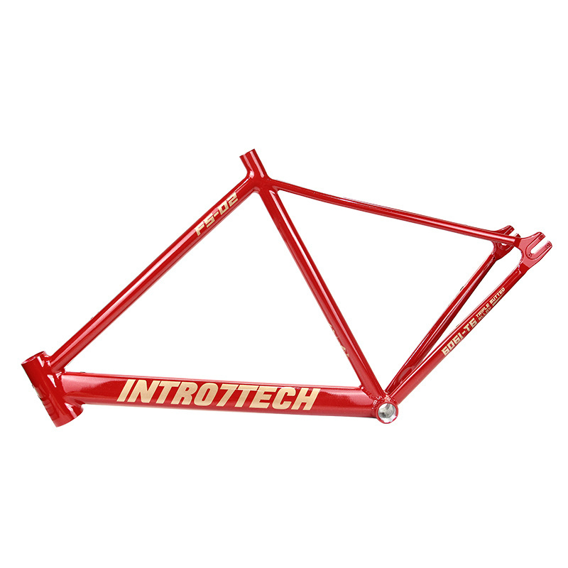 POLSO FM001 Single speed newest ultralight fixed gear road bike frame