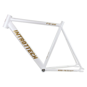 FM001 Fixie Bike Frame Classic Aluminum Single Speed Bicycle Frame