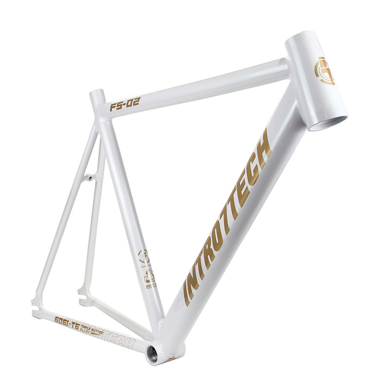 FM001 Fixie Bike Frame Classic Aluminum Single Speed Bicycle Frame