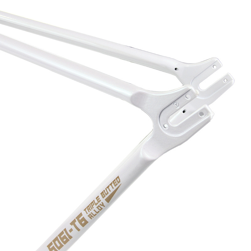 FM001 Fixie Bike Frame Classic Aluminum Single Speed Bicycle Frame