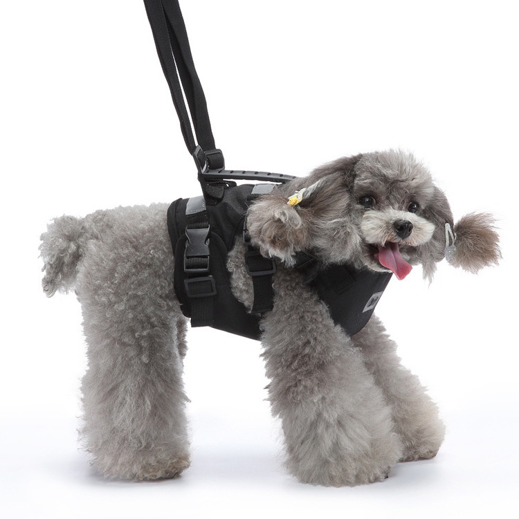 New All Round Support Wholesale Multi-functional Vest Carrier Lift Hest Strap Traction Rope Aged Cat Pet Dog Walking Aid Harness