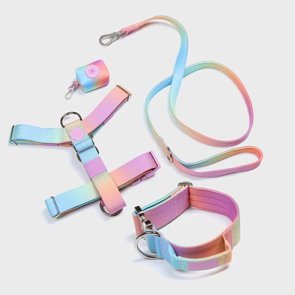 New Design Custom Dog Harness Nylon Tie-Dye Gradient Colour Dog Chest Harness Easy On And Off Pet Harness