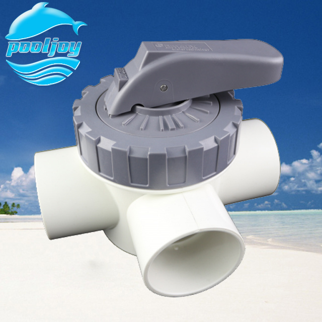 Swimming pool fittings check valve