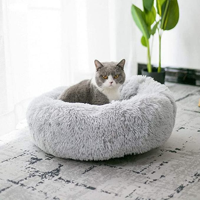 puppy bed Pet Bed for Cats or Small Dogs, Mini Medium Sized Dog Cat Bed Self Warming Autumn Winter Indoor Snooze