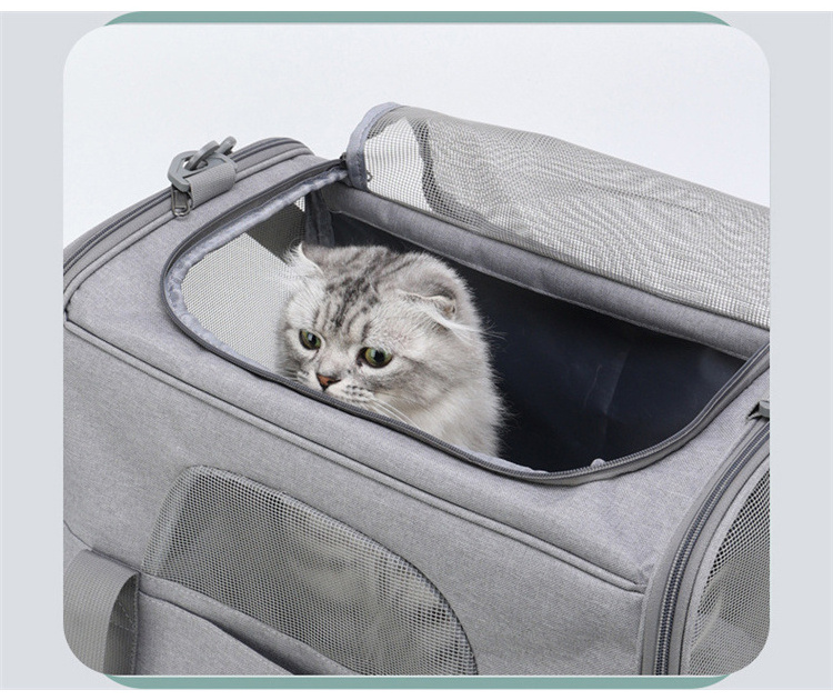 Morpilot Sustainable Outdoor Style Pet Travel Carrier Bag Portable Folding Fabric Pet Carrier Soft Canvas Travel Bag Dogs Cats