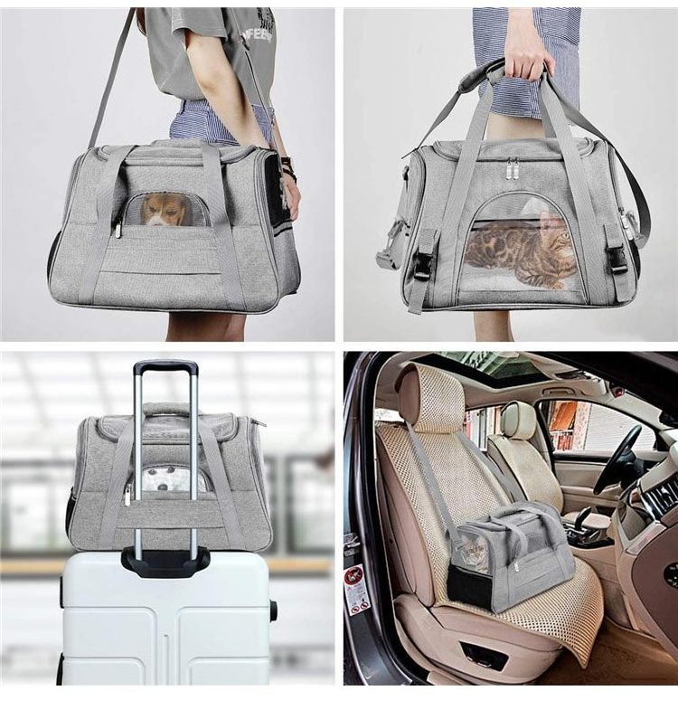 Wholesale Fashionable Portable PC Pet Carrier Bag Custom Logo Sustainable Breathable Canvas for Dogs and Cats for Outdoor Travel