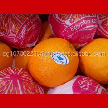 fresh Valencia orange ready to export on August from Egypt to Congo