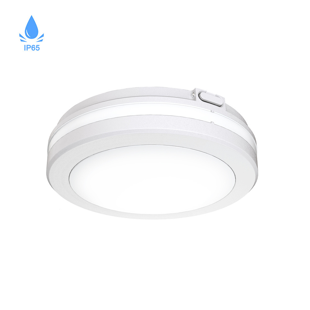 Indoor Outdoor Ceiling Flush Mount 20W 30W 40W Surface Mount LED Light Fixture Ceiling Light