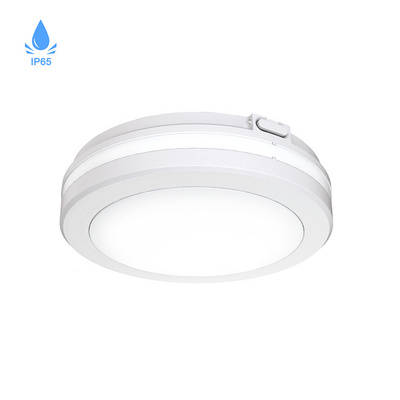 Indoor Outdoor Ceiling Flush Mount 20W 30W 40W Surface Mount LED Light Fixture Ceiling Light