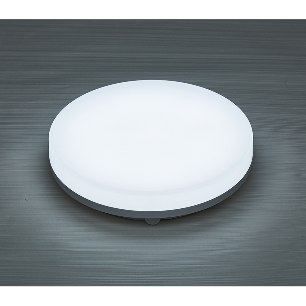 3CCT 24W LED  IP54 Outdoor Flush Wall Ceiling Mounted Round Flat Bulkhead Light (PS-CL78L-24W-DCT)